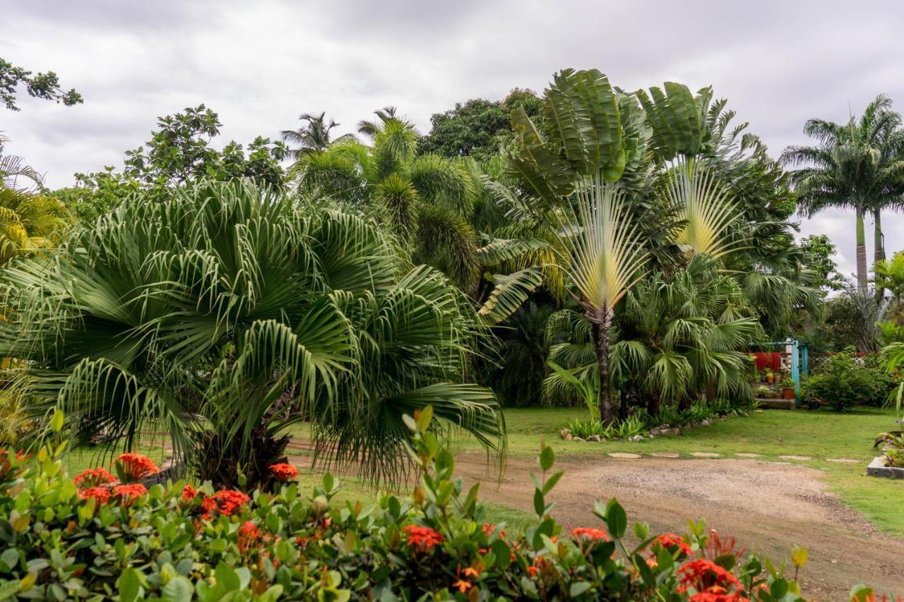 Готель Emoyeni Gardens Сан-Томе Екстер'єр фото